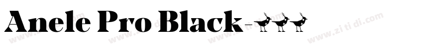 Anele Pro Black字体转换
